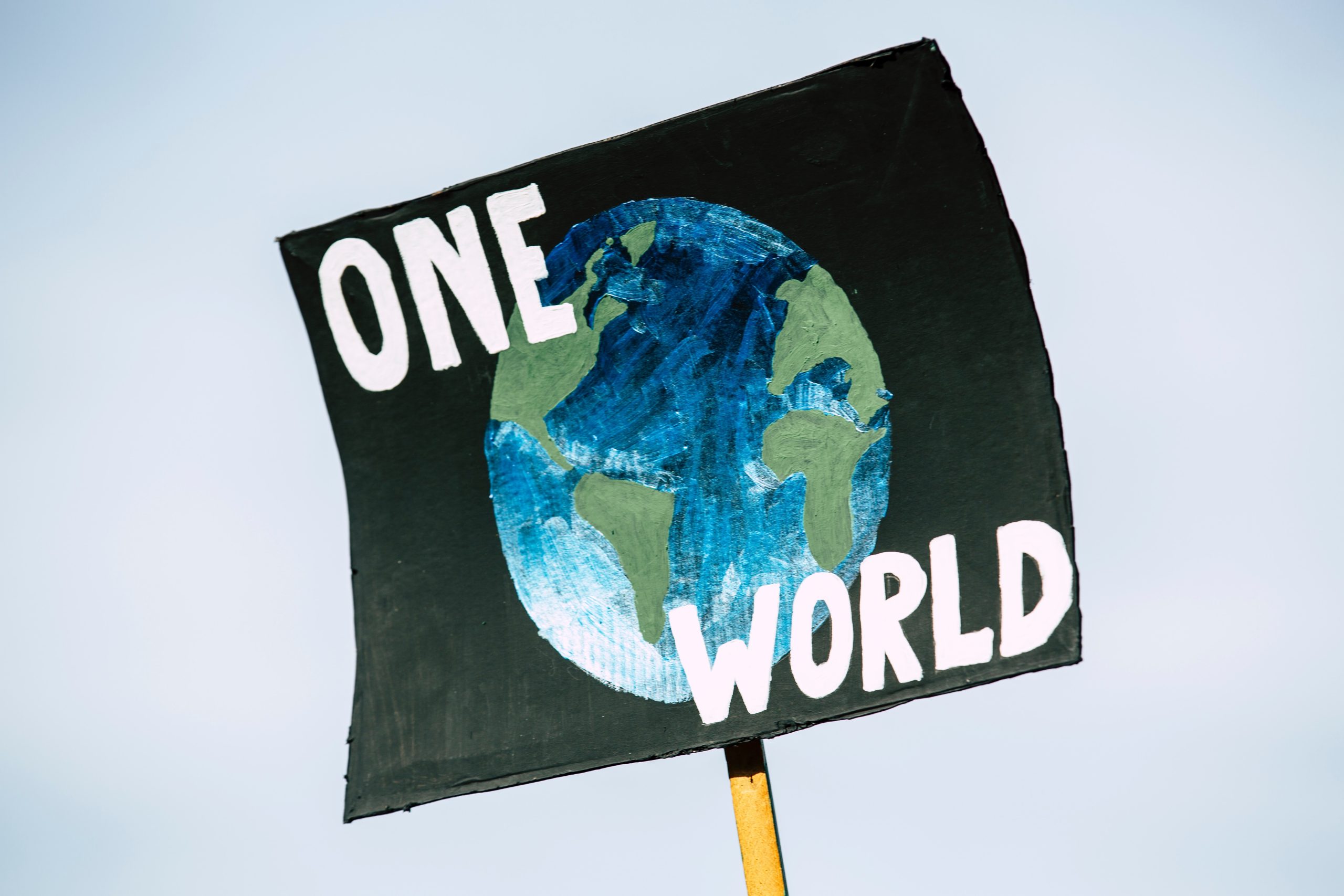 climate anxiety - picket sign states one world