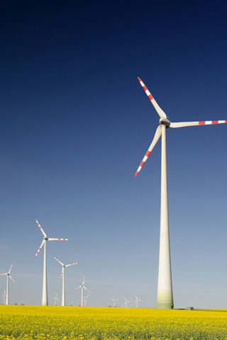 wind turbines and landscape - sustainability reporting